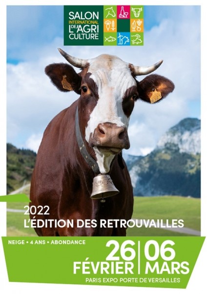 Voir le projet